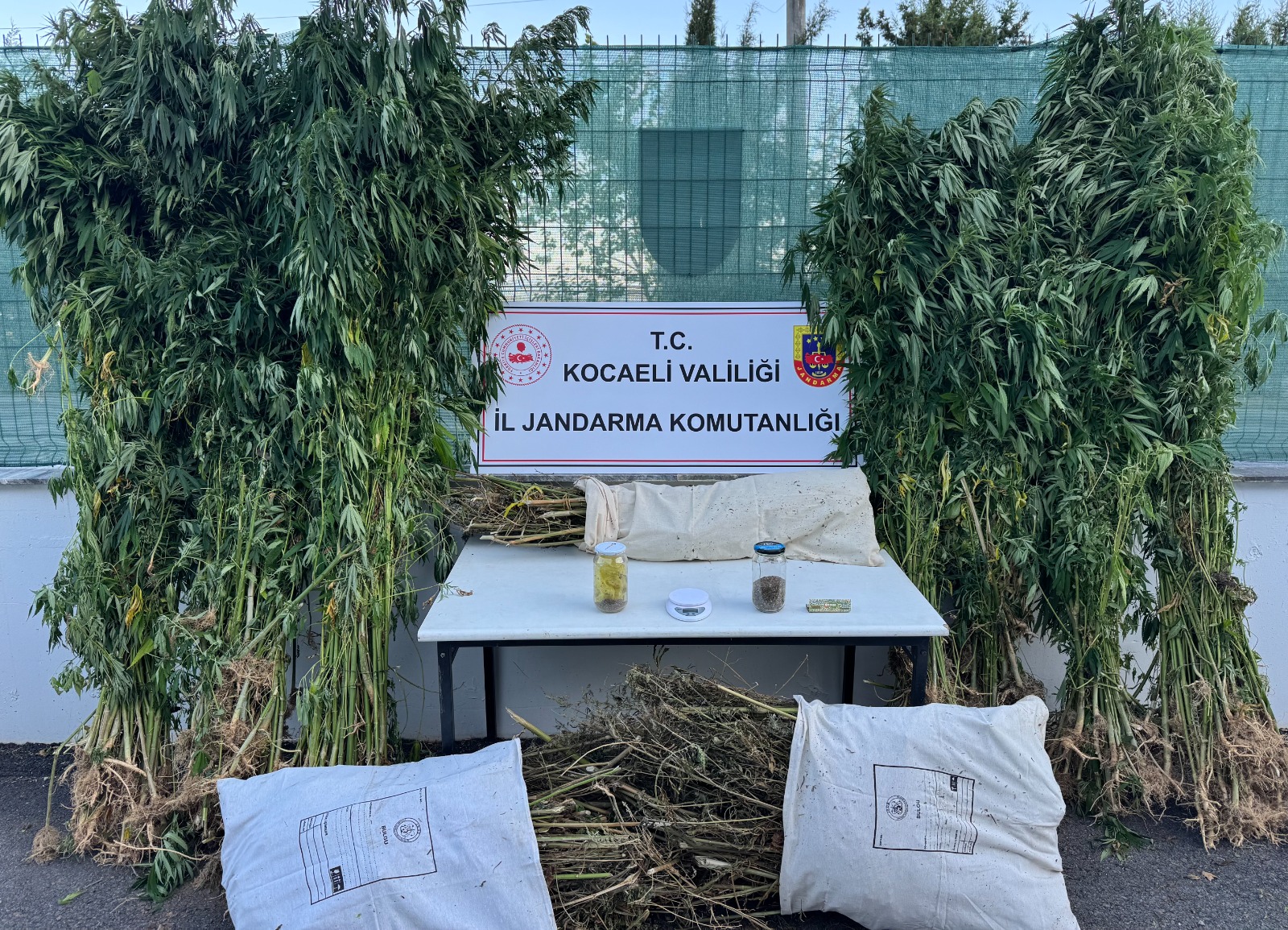 Kocaeli'nin İzmit ilçesinde yapılan operasyonda 12 kilo esrar ve 583