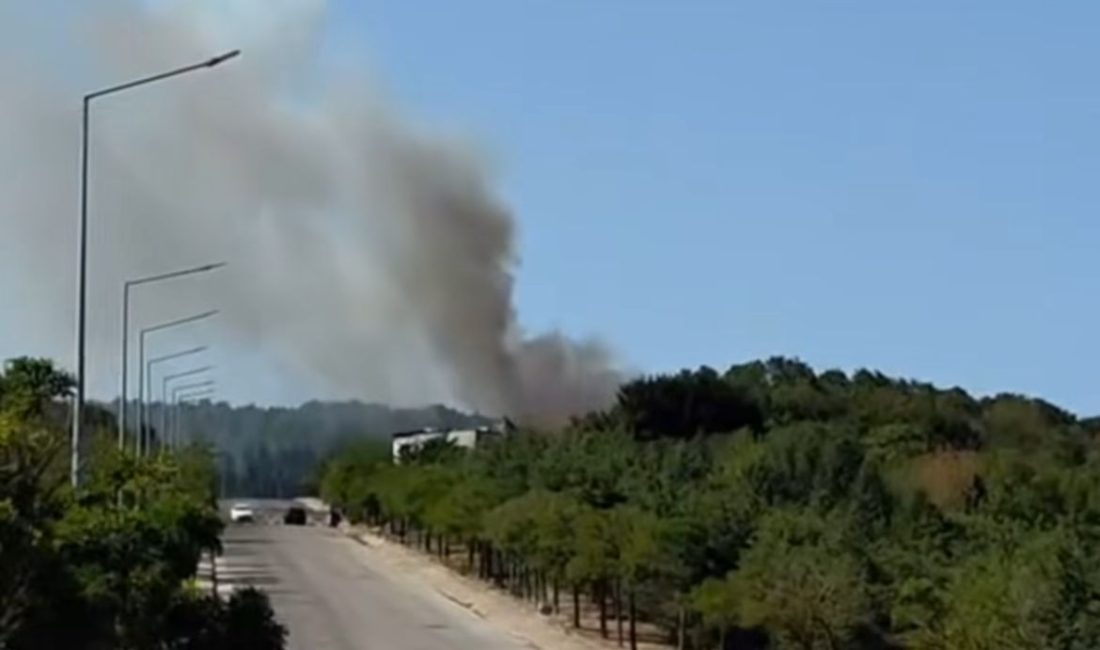 Kocaeli İzmit’te Umuttepe kampüsü civarındaki kent ormanında çıkan yangın, rüzgarın