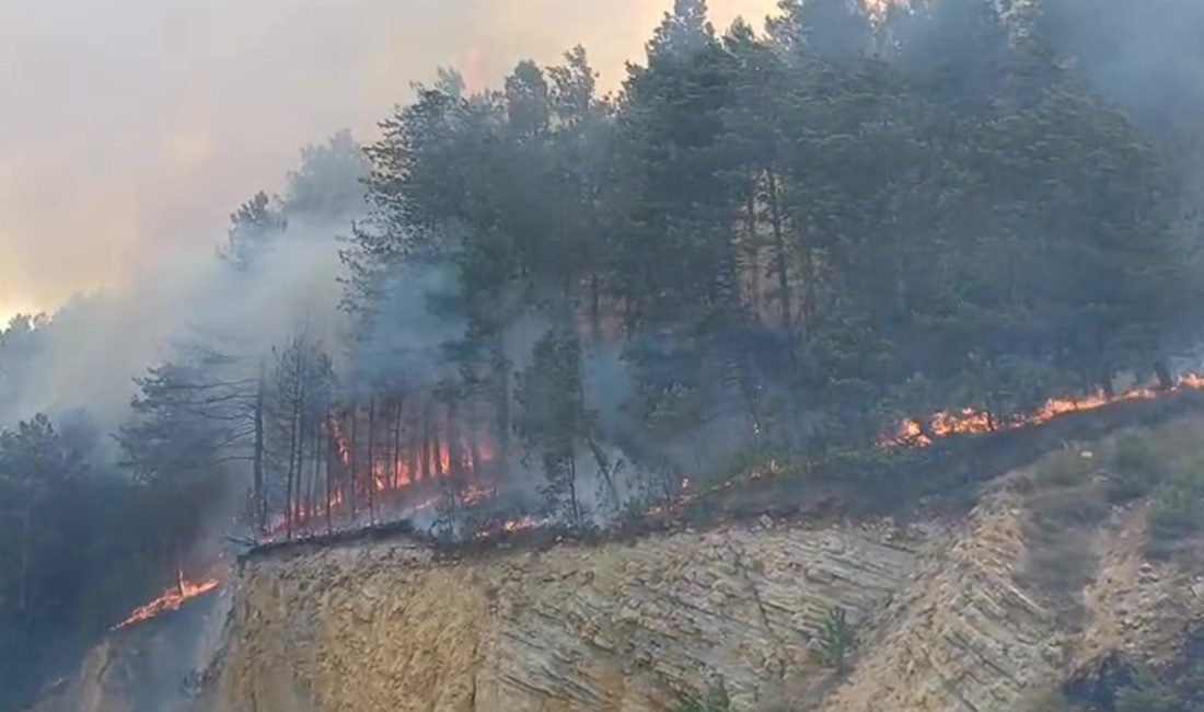 Bolu’nun Mengen ilçesinde çıkan orman yangını rüzgarın etkisi ile yayılırken,