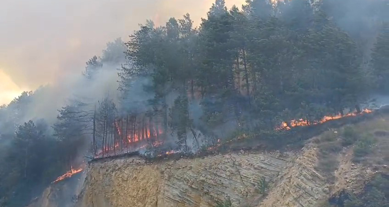 Bolu’nun Mengen ilçesinde çıkan orman yangını rüzgarın etkisi ile yayılırken,