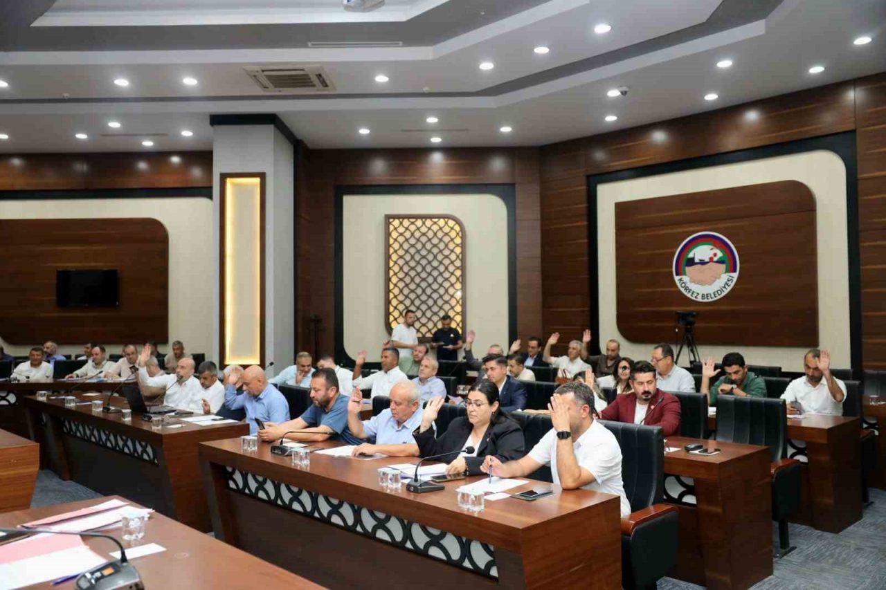 Gebze meclisi