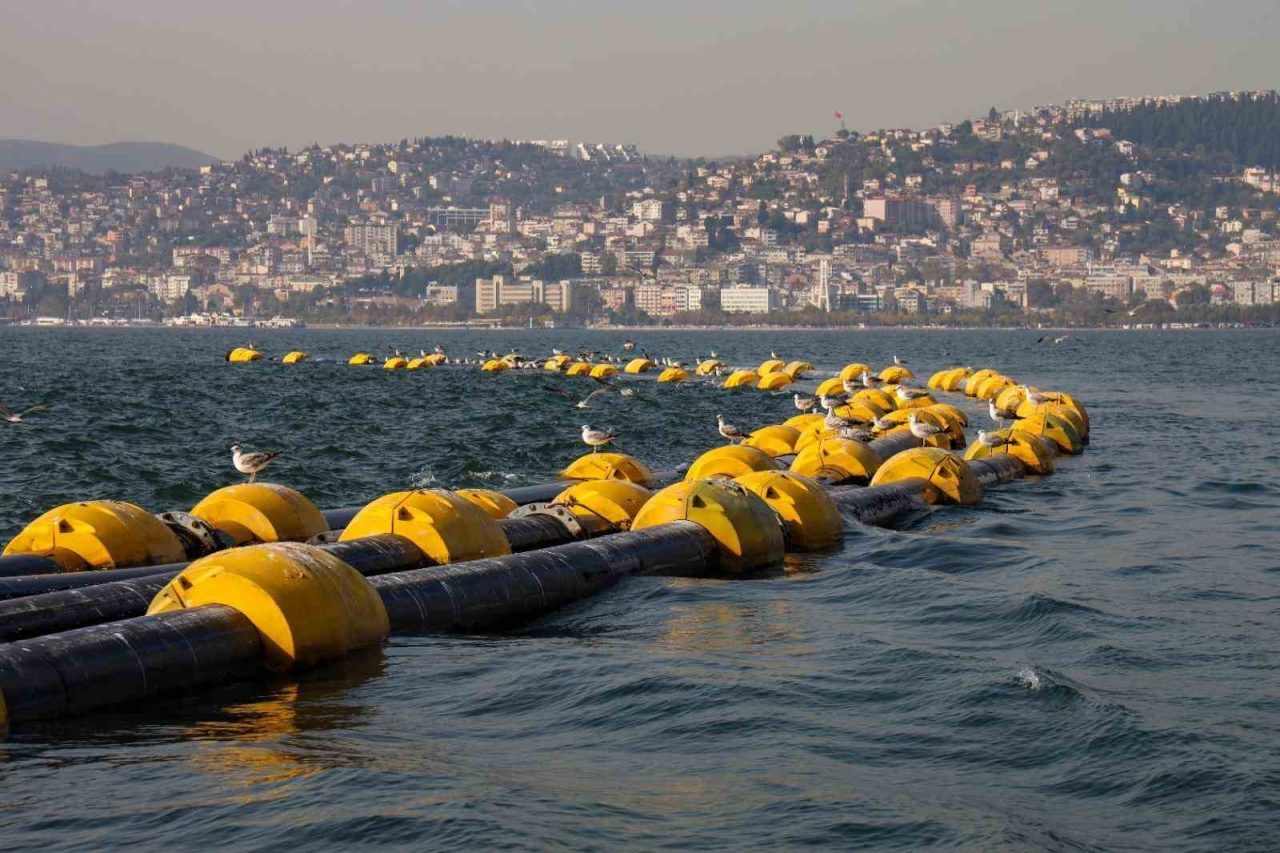 deniz 