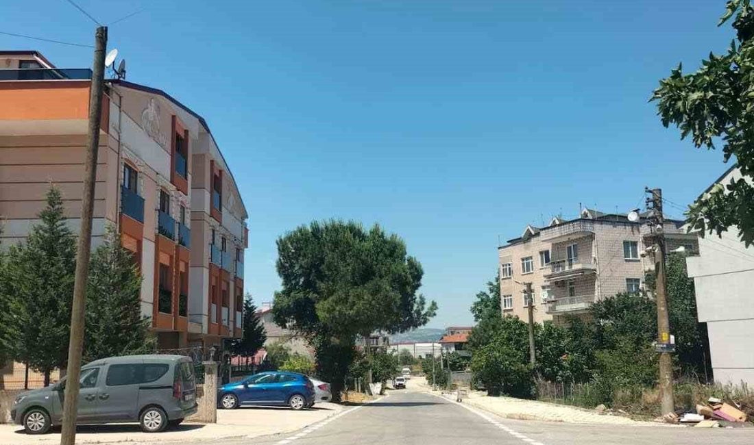 Kartepe ilçesi Ataevler Mahallesi’nde bulunan Kemalpaşa Caddesi’ni hem görsel hem
