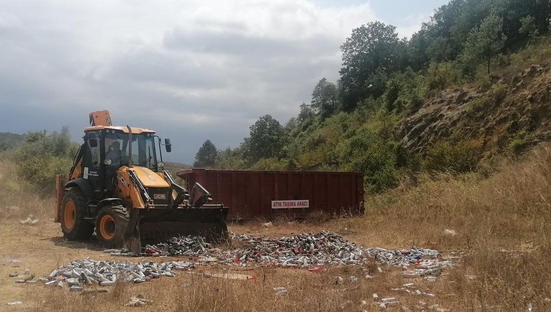 Ormanlık 