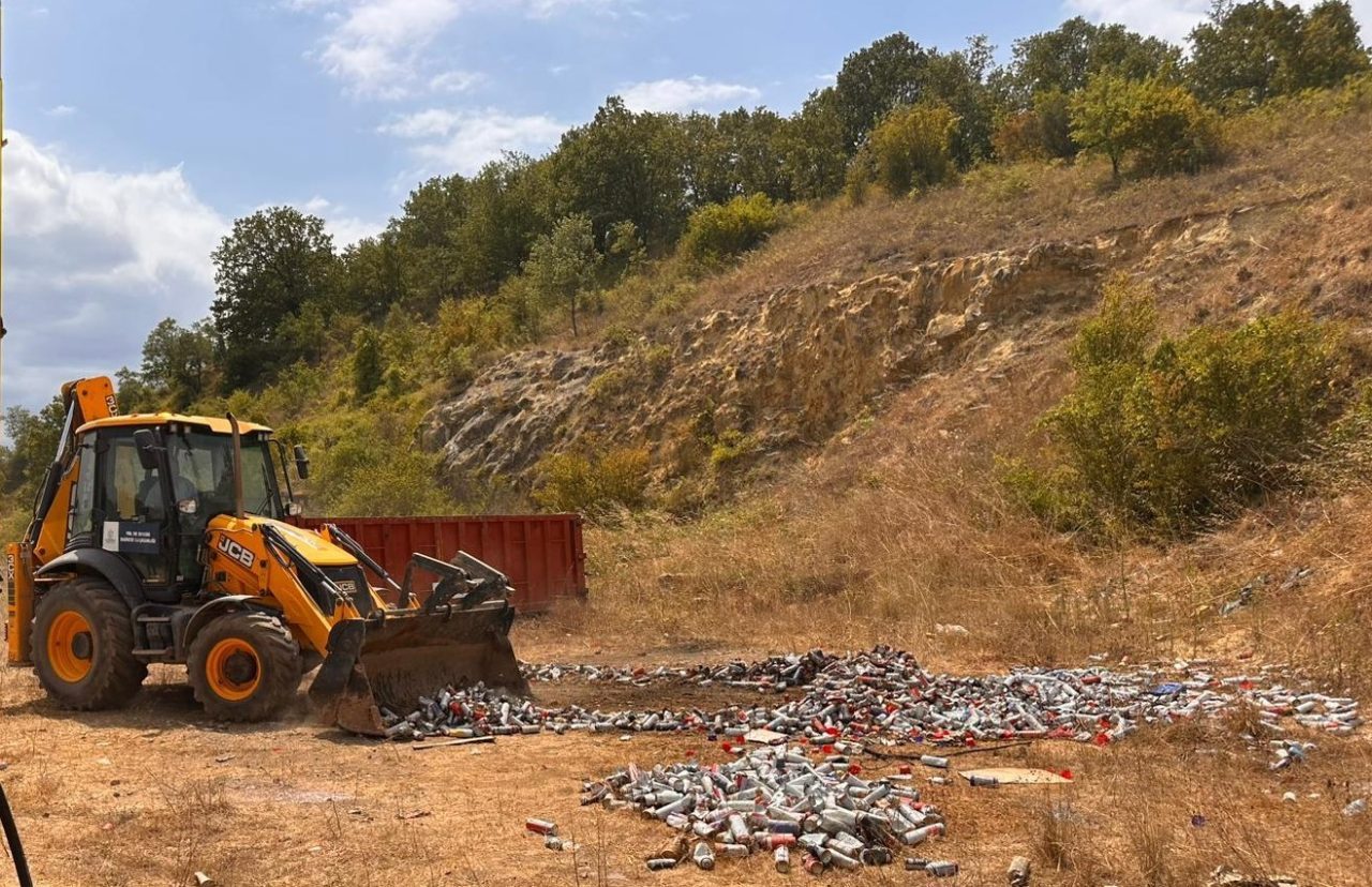 Ormanlık 