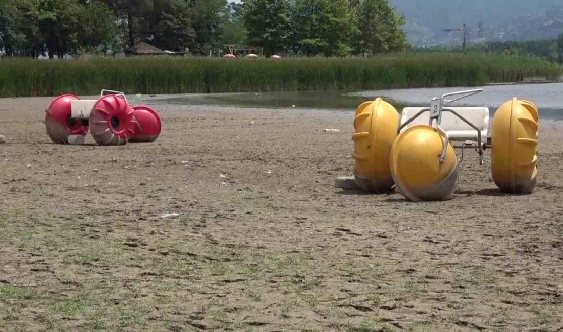 Kocaeli’de yaz mevsiminin kurak geçmesi, baraj ve göllerdeki su seviyelerini