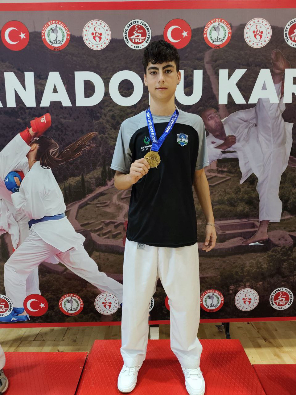 çayırova