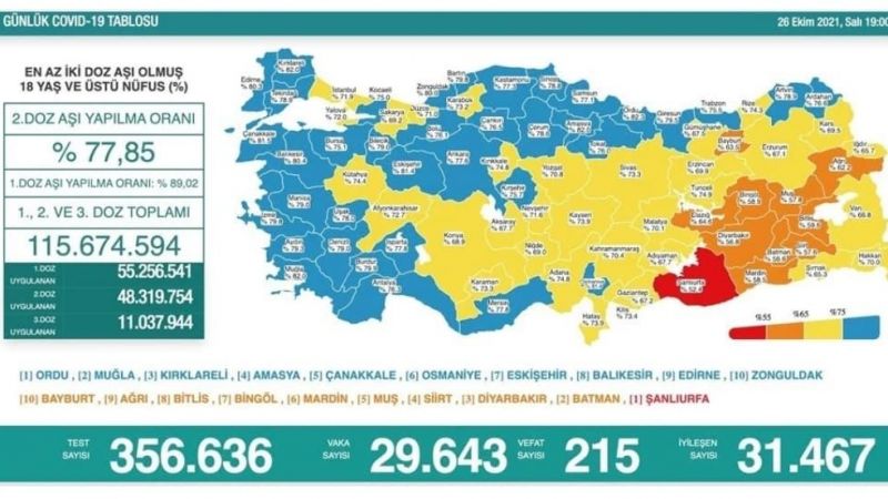 Türkiye'de 29 bin 643 kişinin Kovid-19 testi pozitif çıktı, 215