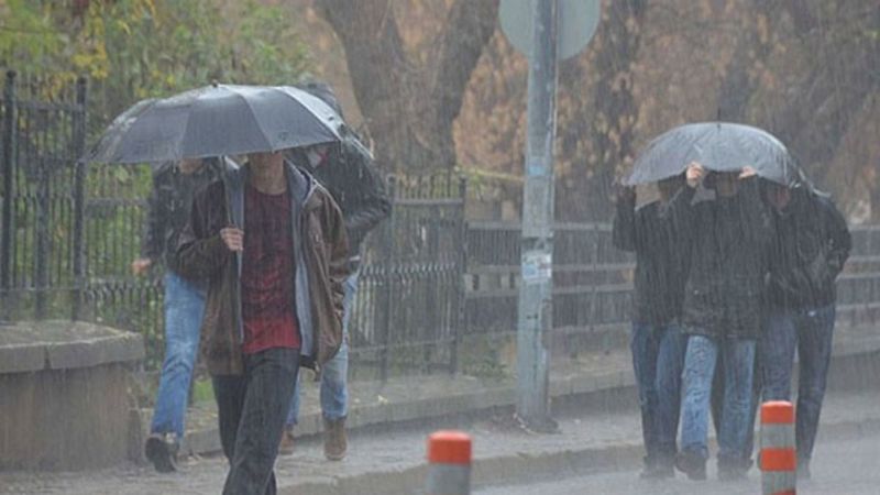 Batı ve Orta Karadeniz kıyıları, Doğu Karadeniz, Doğu Anadolu'nun güneydoğusu