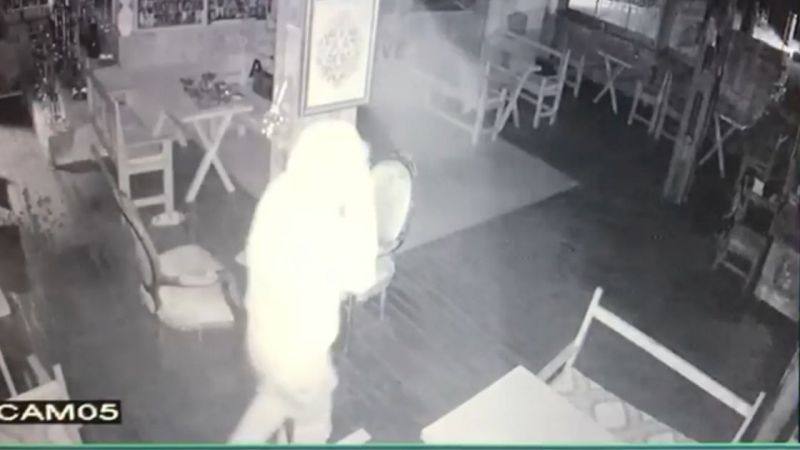 Kocaeli'de bir kafenin kasasından bozuk paraları çalan kişi suçüstü yakalandı.