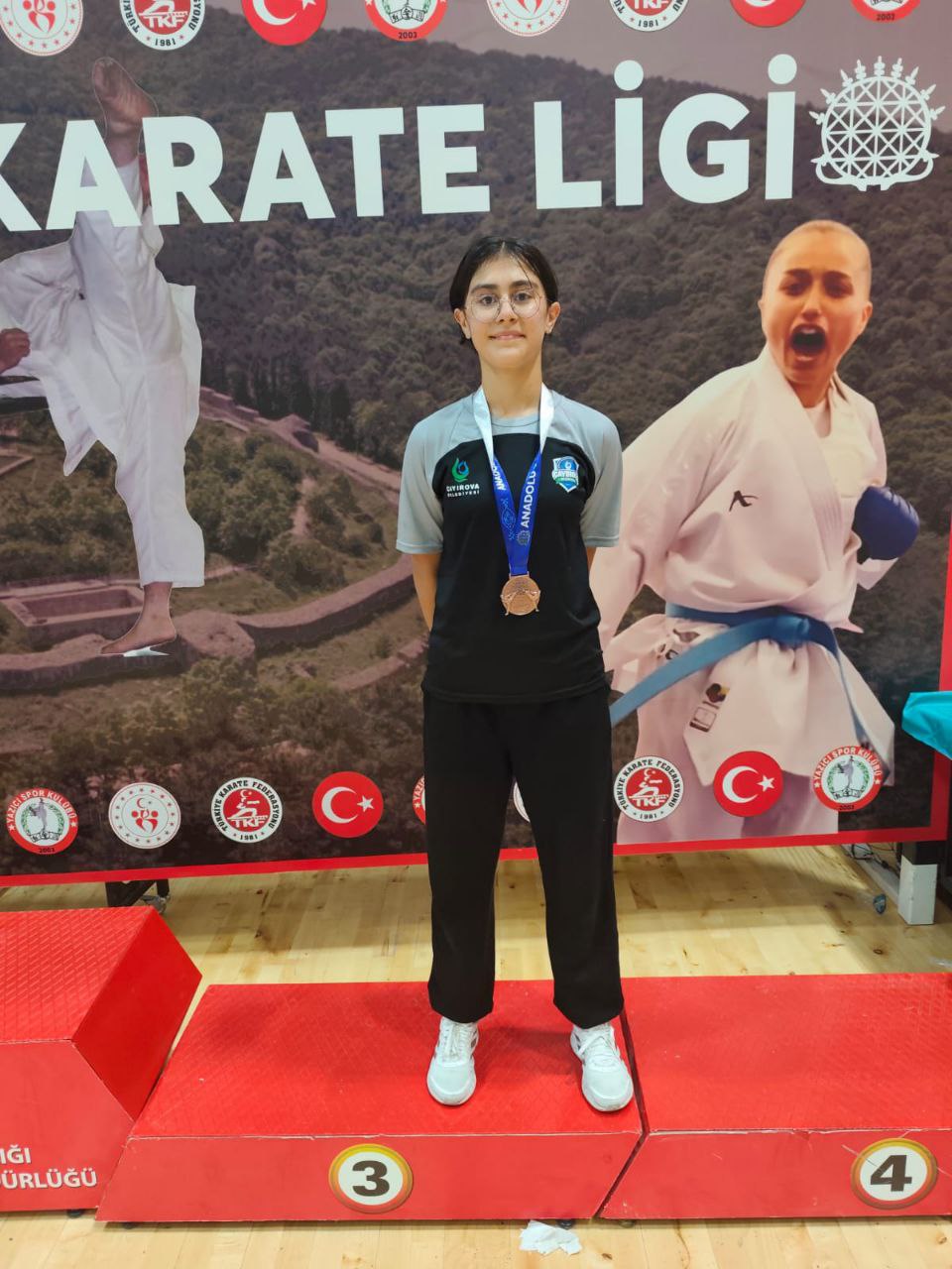 çayırova