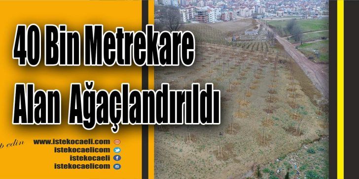 Kocaeli Büyükşehir Belediyesi Park Bahçe ve Yeşil Alan Dairesi Başkanlığı’nca,