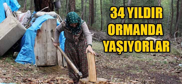 Bursa’da, çobanlık yaparak geçimlerini sağlayan aile, 34 yıldır ormana kurdukları