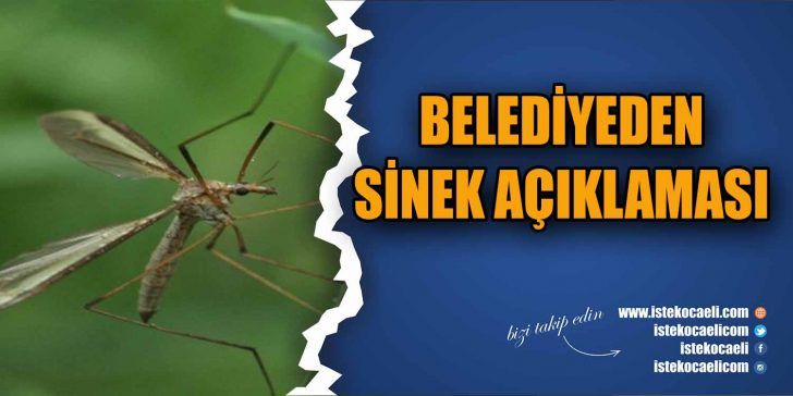Kocaeli Büyükşehir Belediyesi, vatandaşlarda korku yaratan dev sineğin zararsız olduğunu