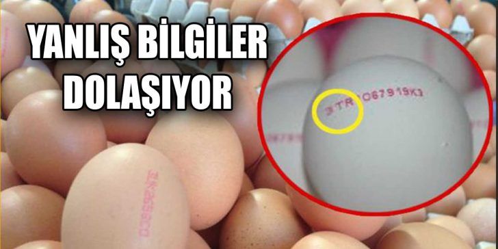 Yumurtalarda ‘organik’, ‘köy yumurtası’ ve ‘gezen tavuk’ gibi adlandırmalar ile