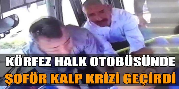 Olay, dün sabah saatlerinde, Körfez Şirinyalı mevkiinde meydana geldi. İzmit