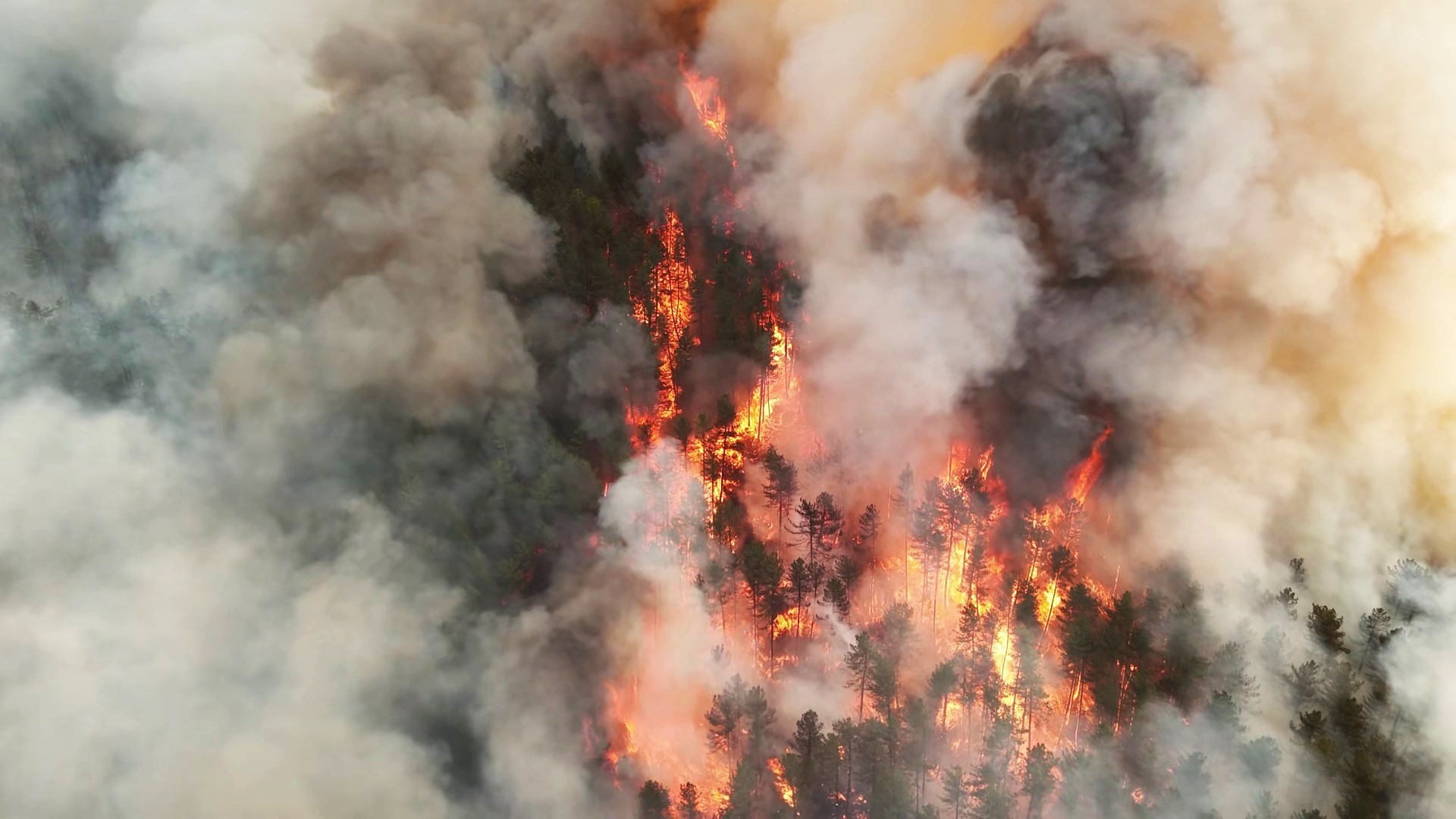 Karabük ve Kastamonu sınırında çıkan orman yangınları rüzgarın etkisiyle büyüyerek
