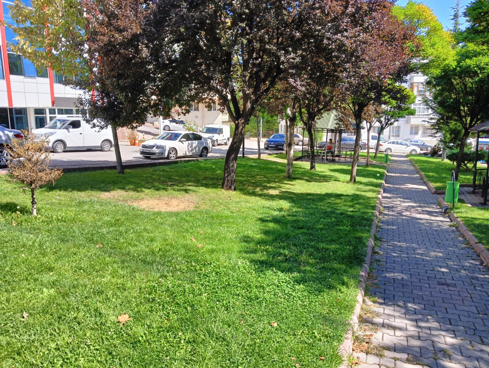 bıçak