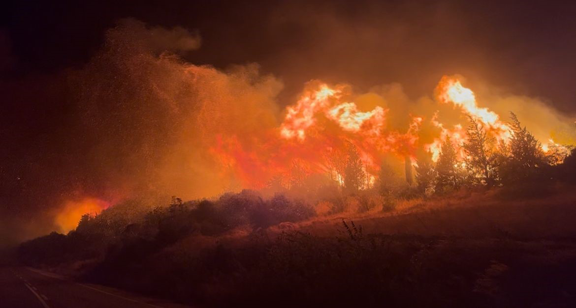 Bursa’nın Karacabey ilçesinde çıkan orman yangını şiddetli rüzgarın etkisiyle kısa