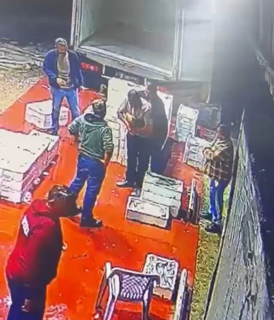 Kocaeli'nin Karamürsel ilçesinde bir balık halinde, yediği hünnap meyvesi soluk