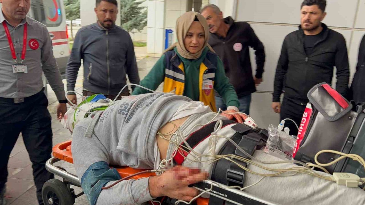 şehit 