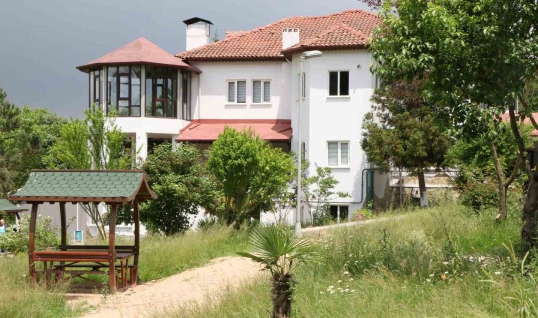 Kocaeli’de açılan merkezlerde bağımlı bireyler ve aileleri, üç ay süren