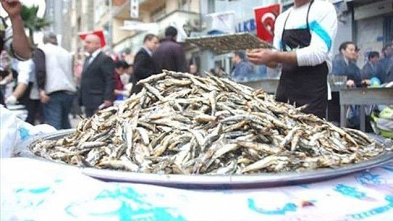 Karamürsel Belediyesince denizlerde av yasağının sona ereceği 1 Eylül öncesinde