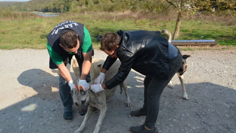 Kartepe Belediyesi Zabıta Müdürlüğü, Ketenciler Barajı yakınında hayata geçirdiği mini
