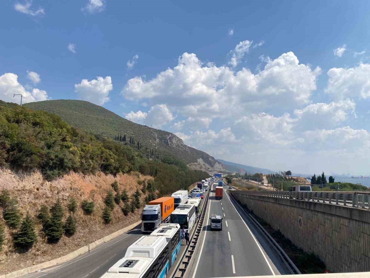 Kocaeli