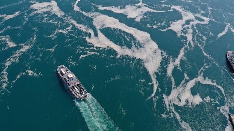 Marmara Eylem Planı Bilim ve Teknik Kurulu Başkanı Prof. Dr.