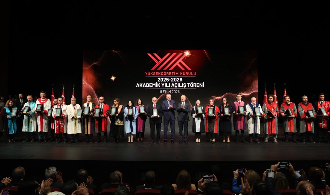 Gebze Teknik Üniversitesi (GTÜ) Mühendislik Fakültesi Biyomühendislik Bölümü akademisyenleri, Yükseköğretim