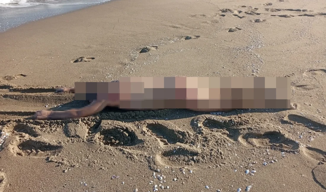 Sakarya’nın Karasu ilçesinde sahilde çıplak erkek cesedi bulundu.