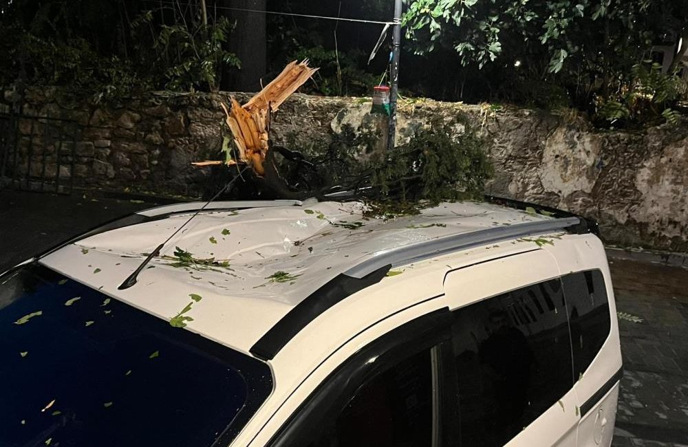 Antalya'da etkili olan fırtınanın etkisiyle kırılan ağaç park halindeki aracın