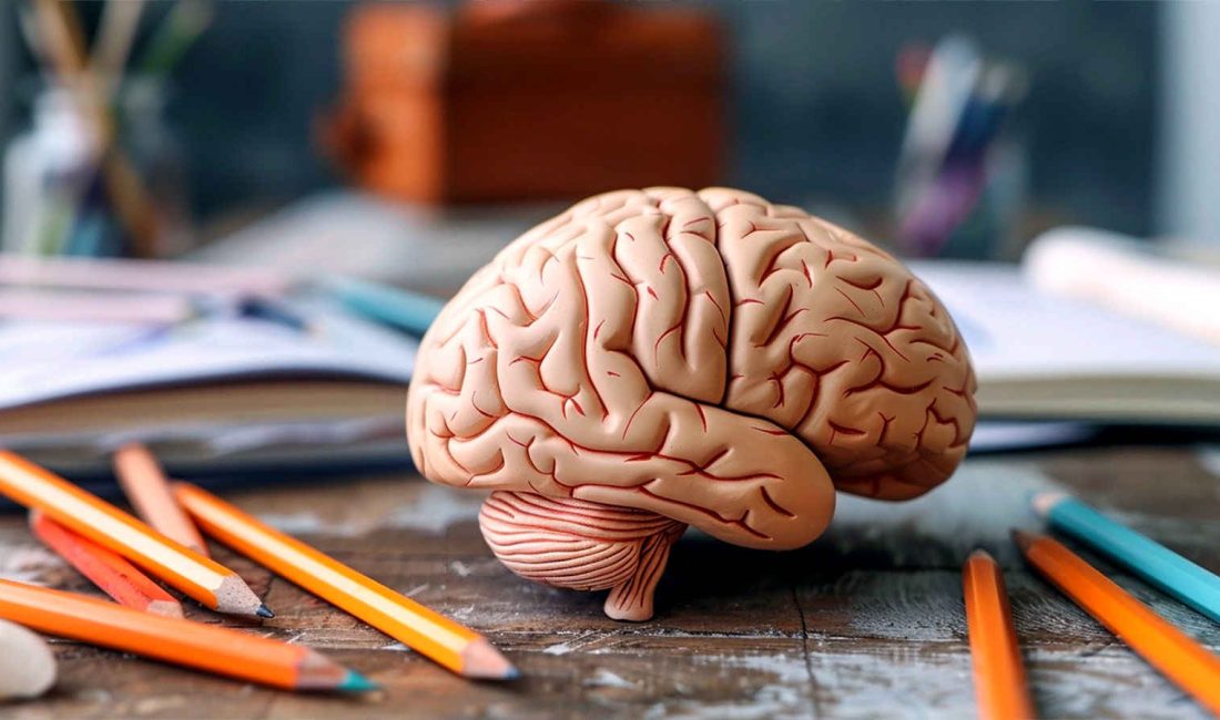  Beyinde hafıza ve bilişsel işlevlerin kapsamlı bir şekilde değerlendirilmesi