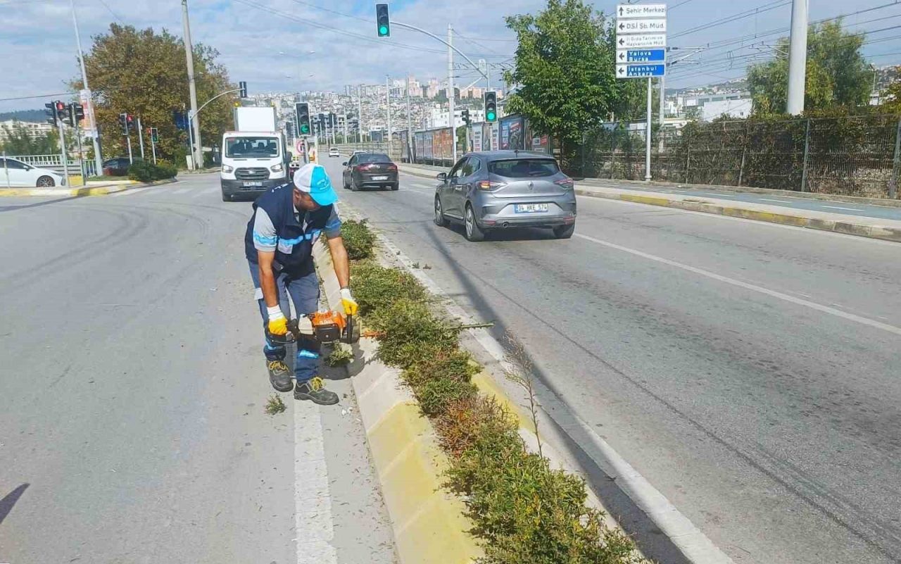 Kocaeli’nin İzmit ilçesi Salim Dervişoğlu Caddesi’nde tırpan ve form budama