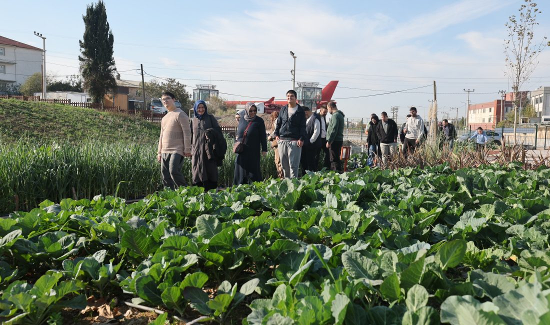 Çayırova Belediyesi Fatma Çelik Engelliler Merkezi’nde eğitim alan özel bireyler,