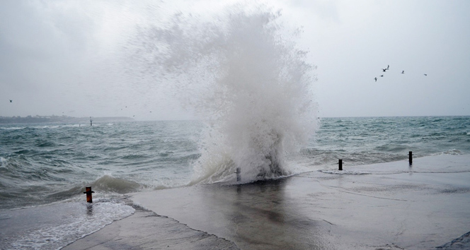deniz