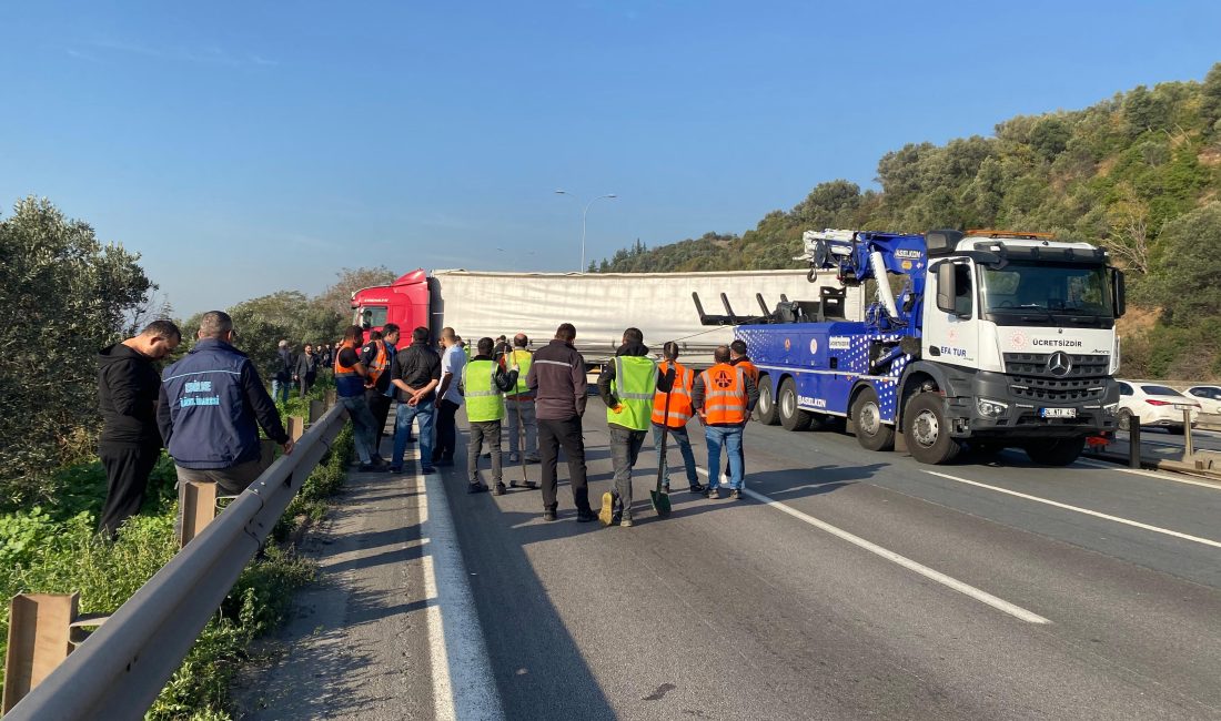 TEM Otoyolu'nun Kocaeli geçişinde seyir halindeki tır, orta bariyerleri aşarak