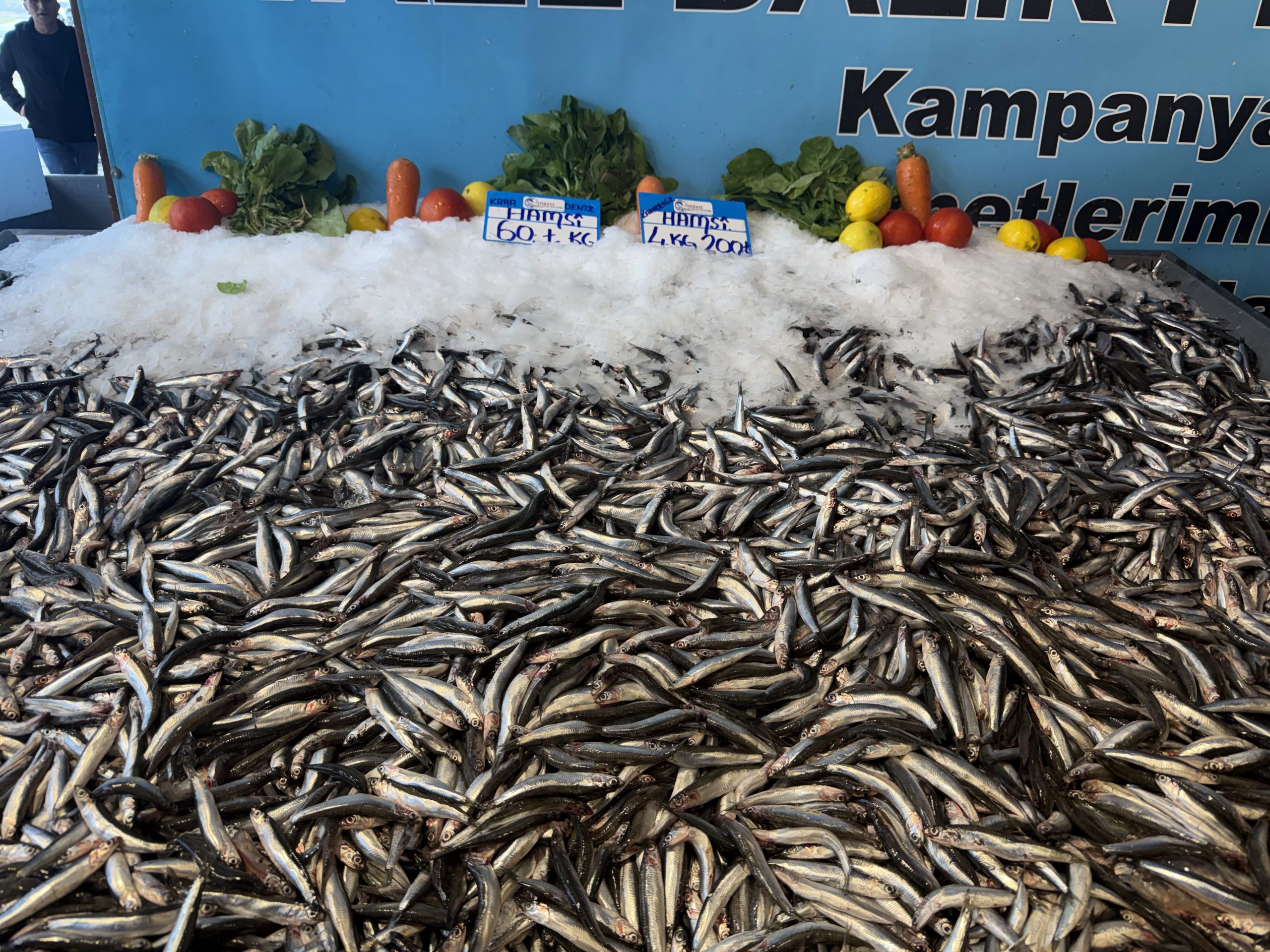 Mevsim şartlarına bağlı olarak bollaşan hamsinin kilogram fiyatı bu hafta