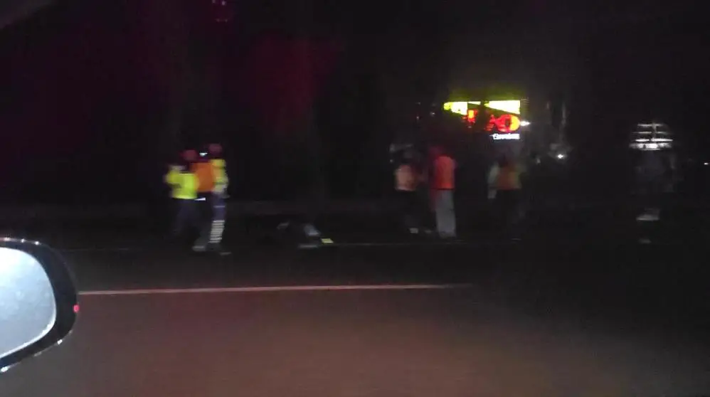 Anadolu Otoyolu Sakarya geçişinde otomobilin çarptığı yaya hayatını kaybetti.