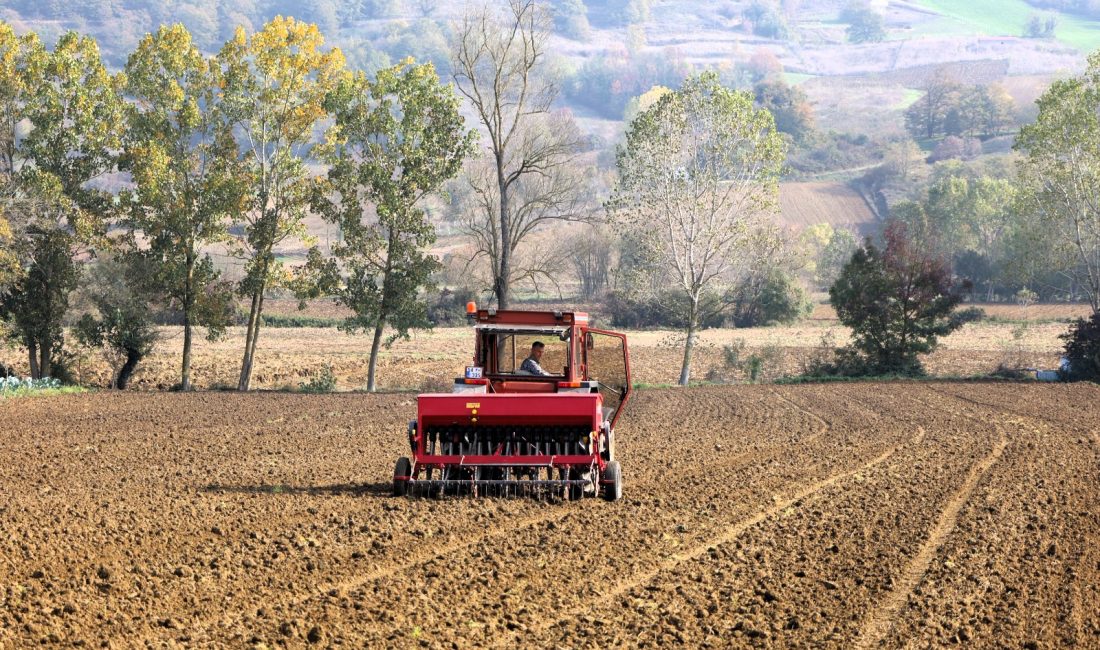 Kocaeli Büyükşehir Belediyesi, tarım ve hayvancılığı geliştirmek amacıyla başlattığı destek