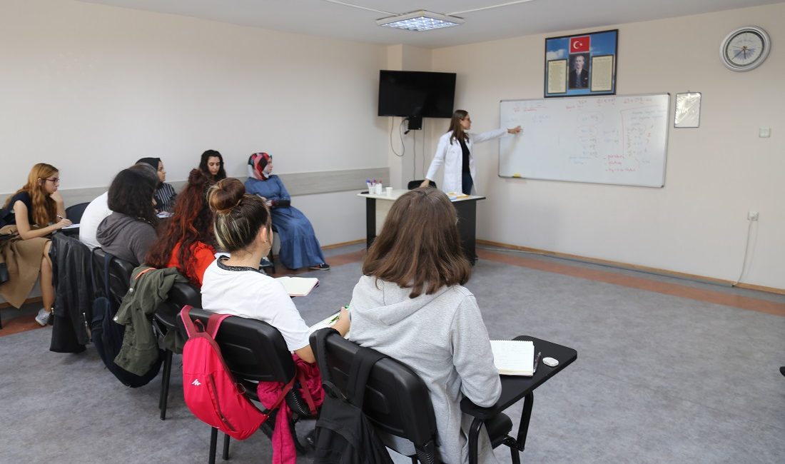 Kocaeli Büyükşehir Belediyesi Meslek ve Sanat Eğitimi Kursları (KO-MEK), yabancı