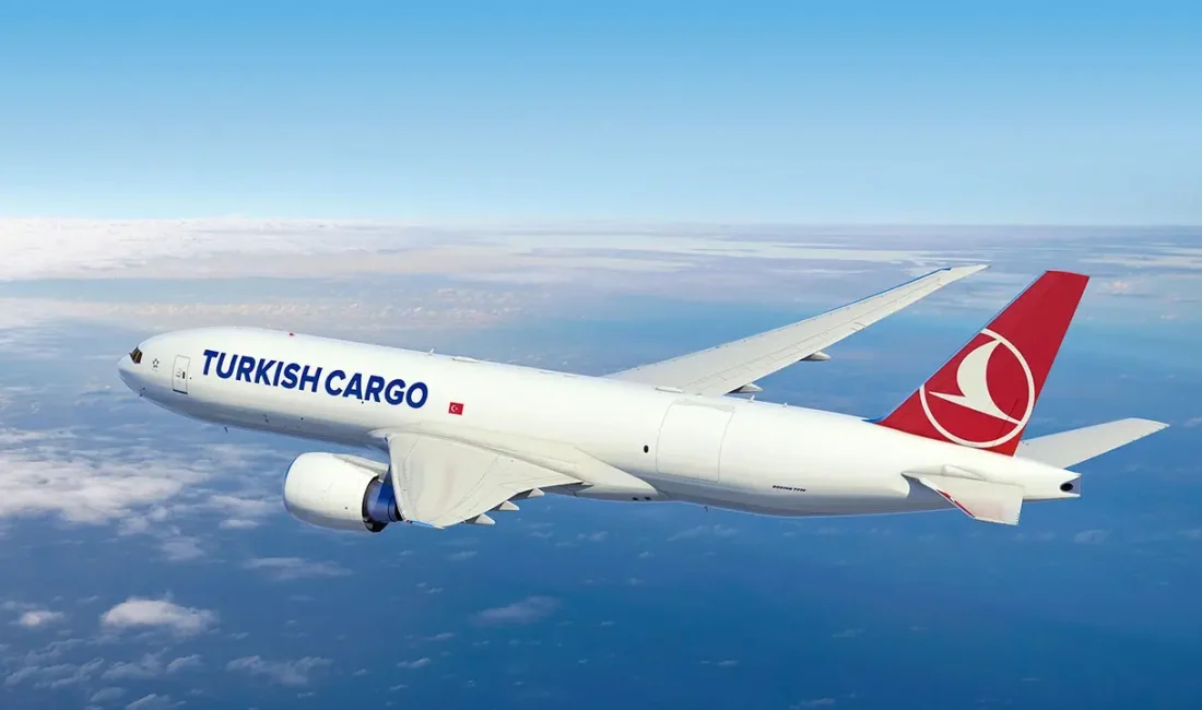  İçişleri Bakanı Ali Yerlikaya, Gürcistan’da düşen Türk Silahalı Kuvvetlerine