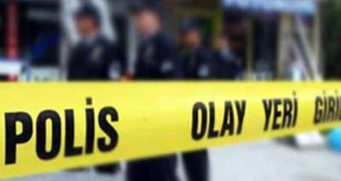 Kocaeli’nin Gebze ilçesinde yer alan Denizli Göleti’nde kıyıya vurmuş halde