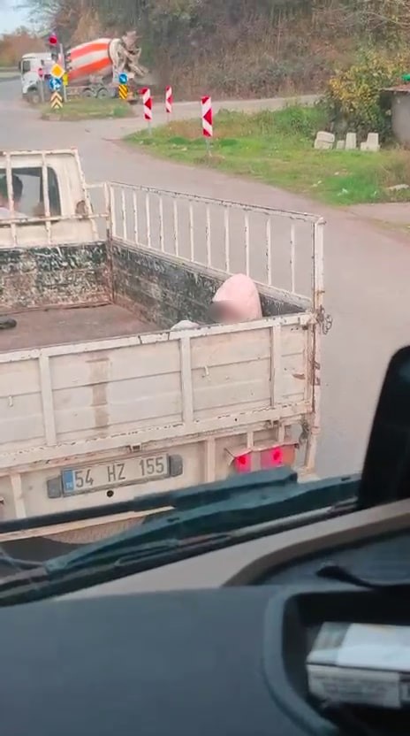 Sakarya’nın Karasu ilçesinde D-650 kara yolunda soğuk havaya rağmen kamyonet