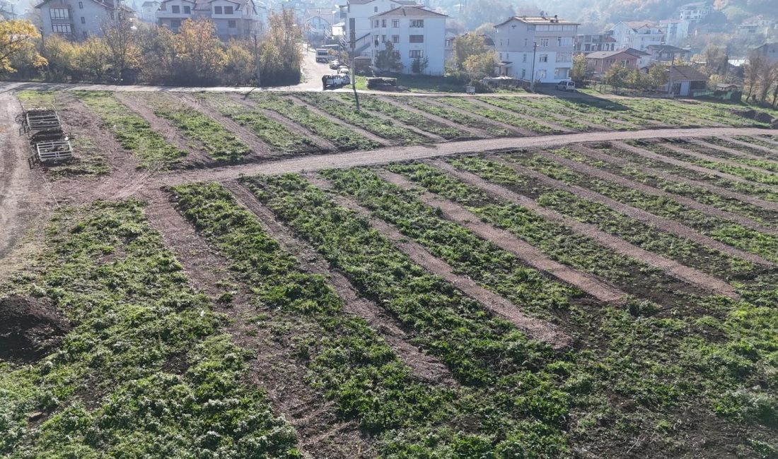 17 Ağustos Mezarlığı’nın dolmasıyla birlikte Gölcük ilçesinde ortaya çıkan mezarlık