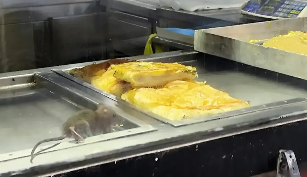 İzmir’in Buca ilçesinde bir börekçide kaydedilen iğrenç görüntüler, vatandaşları dehşete