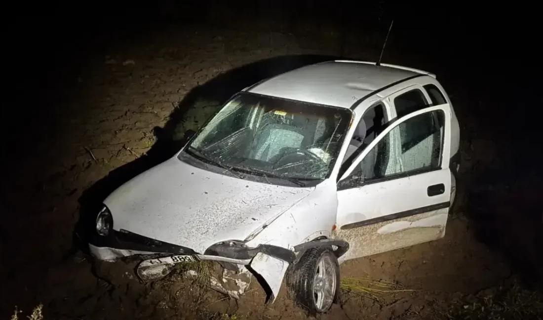 Sakarya’nın Akyazı ilçesinde kontrolden çıkan bir otomobil tarlaya girerek durabildi.