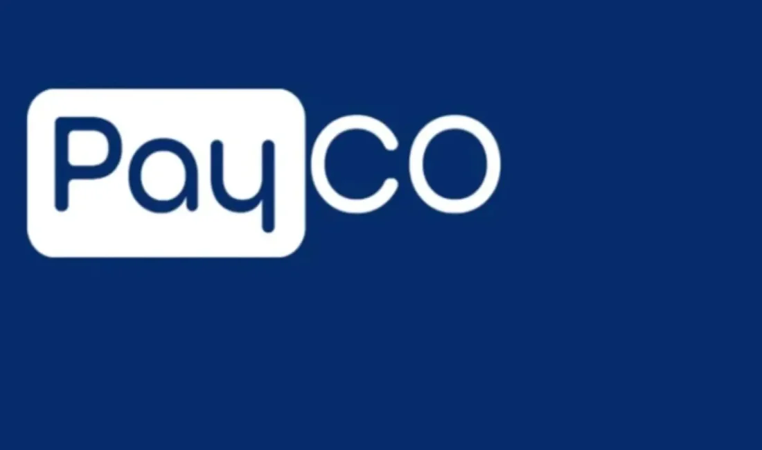 İstanbul Cumhuriyet Başsavcılığı tarafından PAYCO Elektronik Para ve Ödeme Hizmetleri