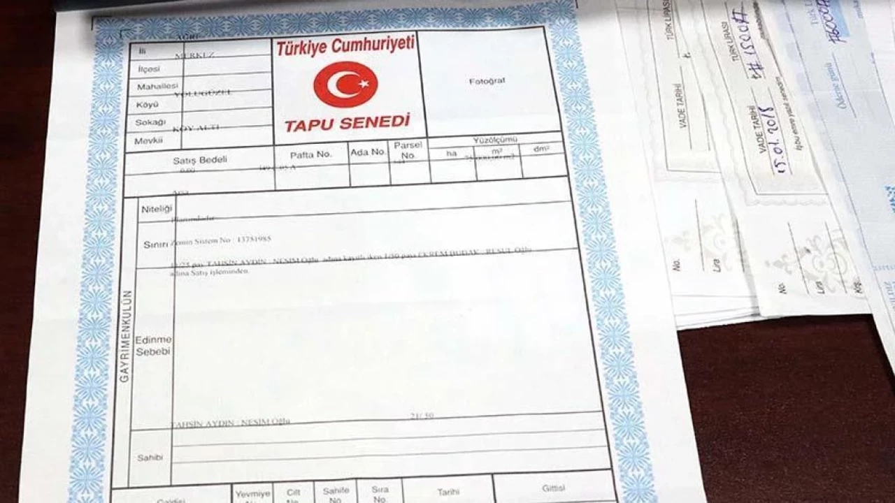 SAHİPLERİ
